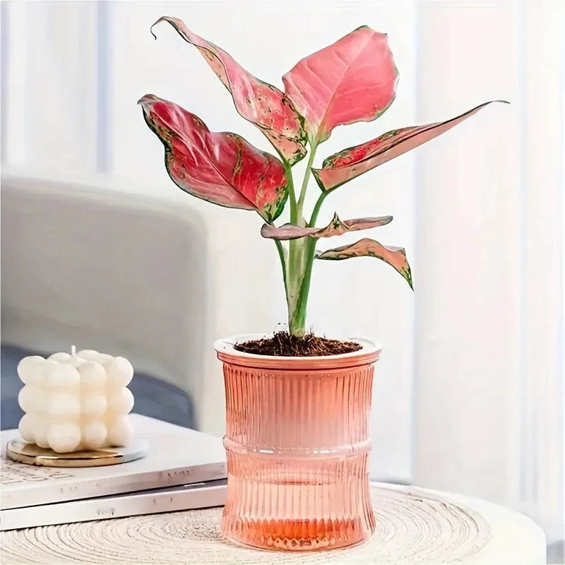 4" Self-Watering Pots