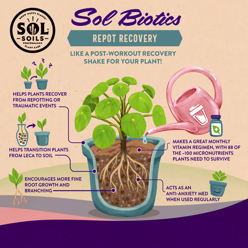 Sol Biotics - Repot Recovery - Repotting Shock Treatment (a