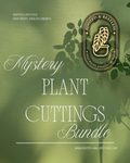 Mystery Plant Cutting Bundles
