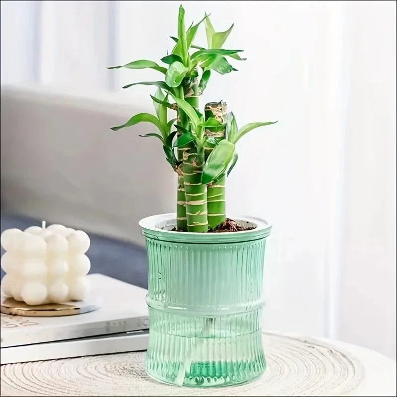 4" Self-Watering Pots