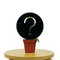 Mystery House Plant