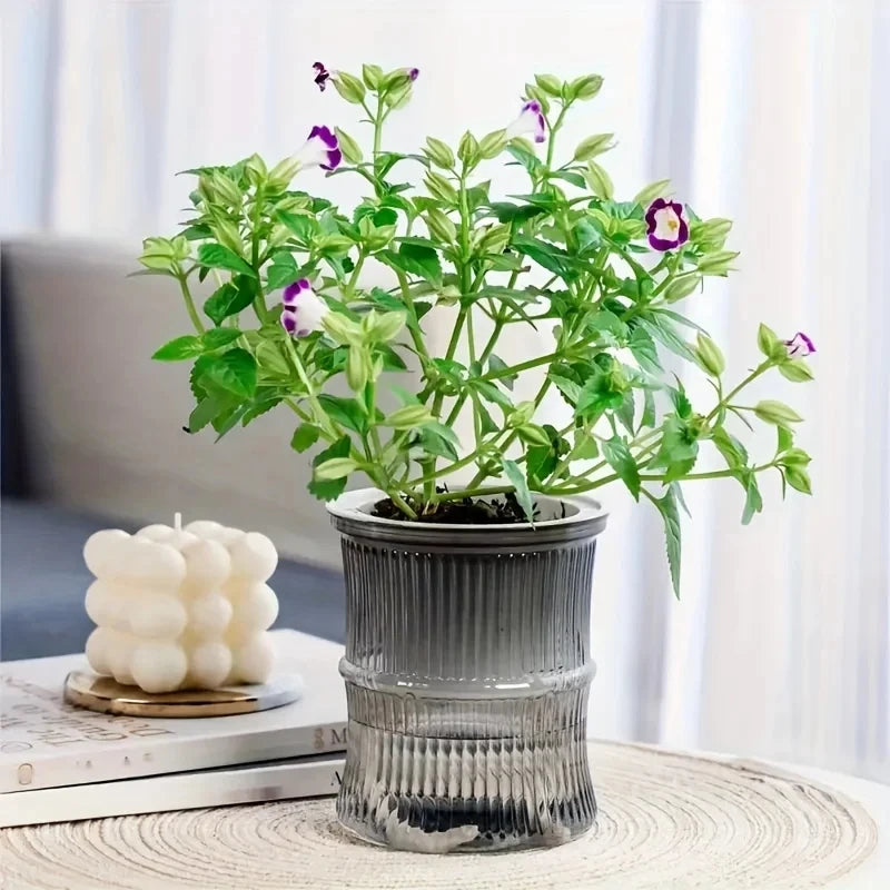 4" Self-Watering Pots